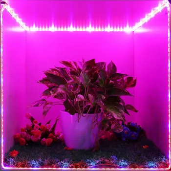 светодиодная световая лента для выращивания 5 М 5050 Полный Спектр Цветочных растений Фито лампа для выращивания растений в помещении Теплица Гидропоника растет огни 12 В палатка